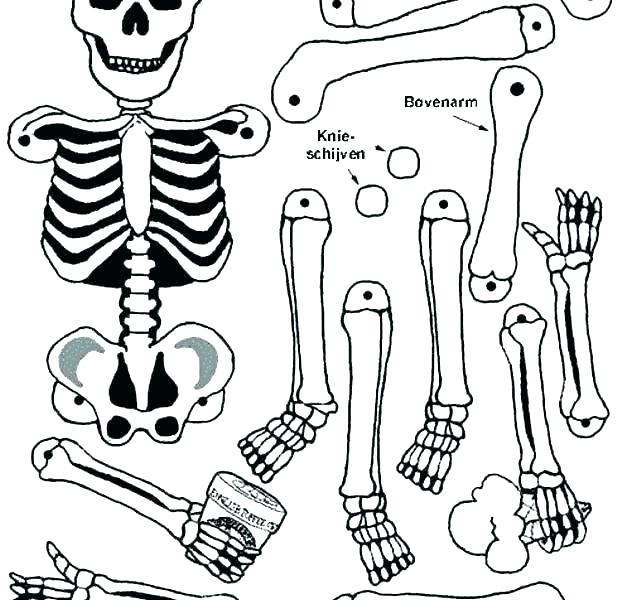 618x600 Skeleton Coloring Page Coloring Pages Skeleton Skeleton And His
