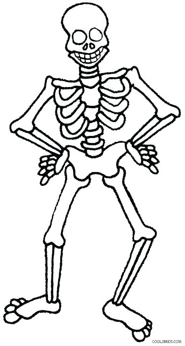 375x700 Human Coloring Pages Anatomy Coloring Book For Kids Also View