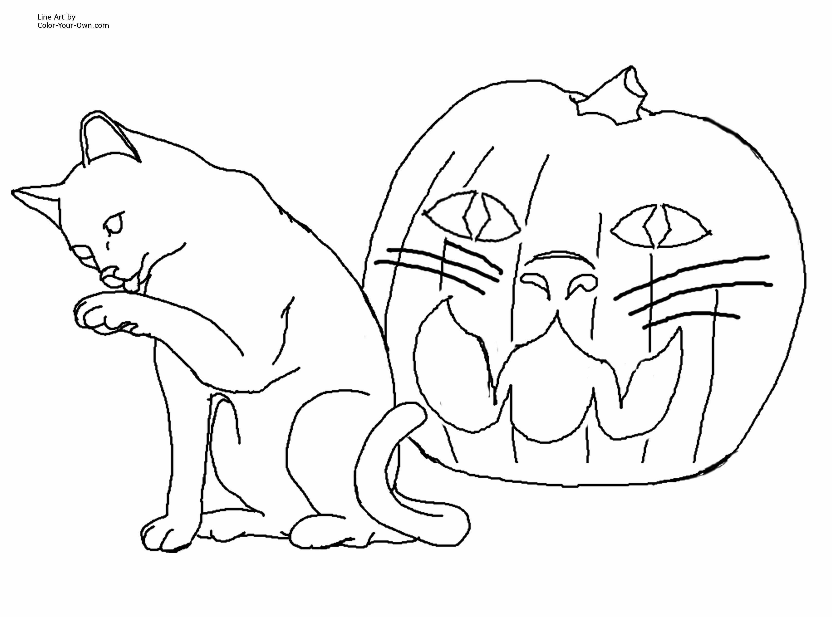 Skeleton Coloring Sheet Unique Awesome My Little Pony Coloring 3232x2400 Skeleton Coloring Sheet Unique Awesome My Little Pony Coloring