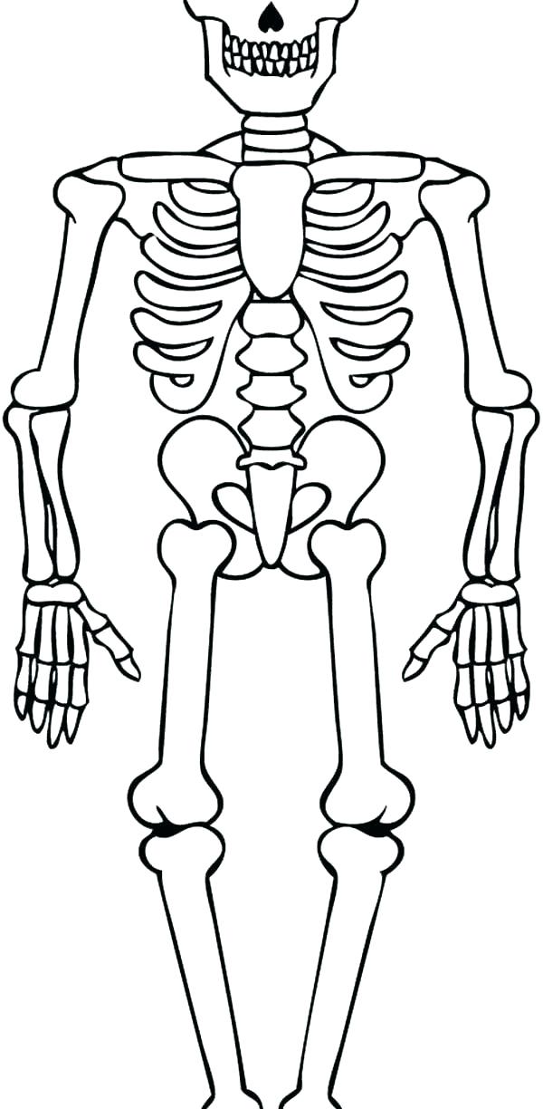Skeleton Coloring Pages For Kids at GetColorings.com | Free printable ...