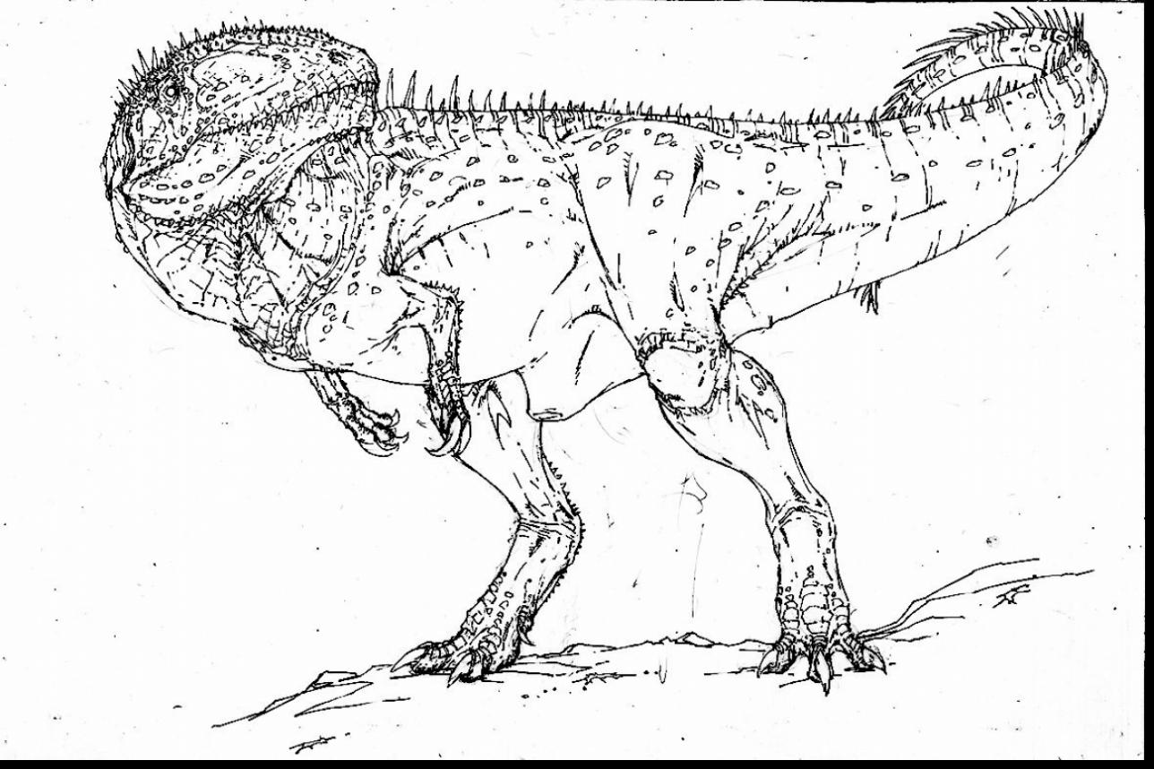 Helpful Dinosaur Skeleton Coloring Page Cinco 1288x858 Helpful Dinosaur Skeleton Coloring Page Cinco