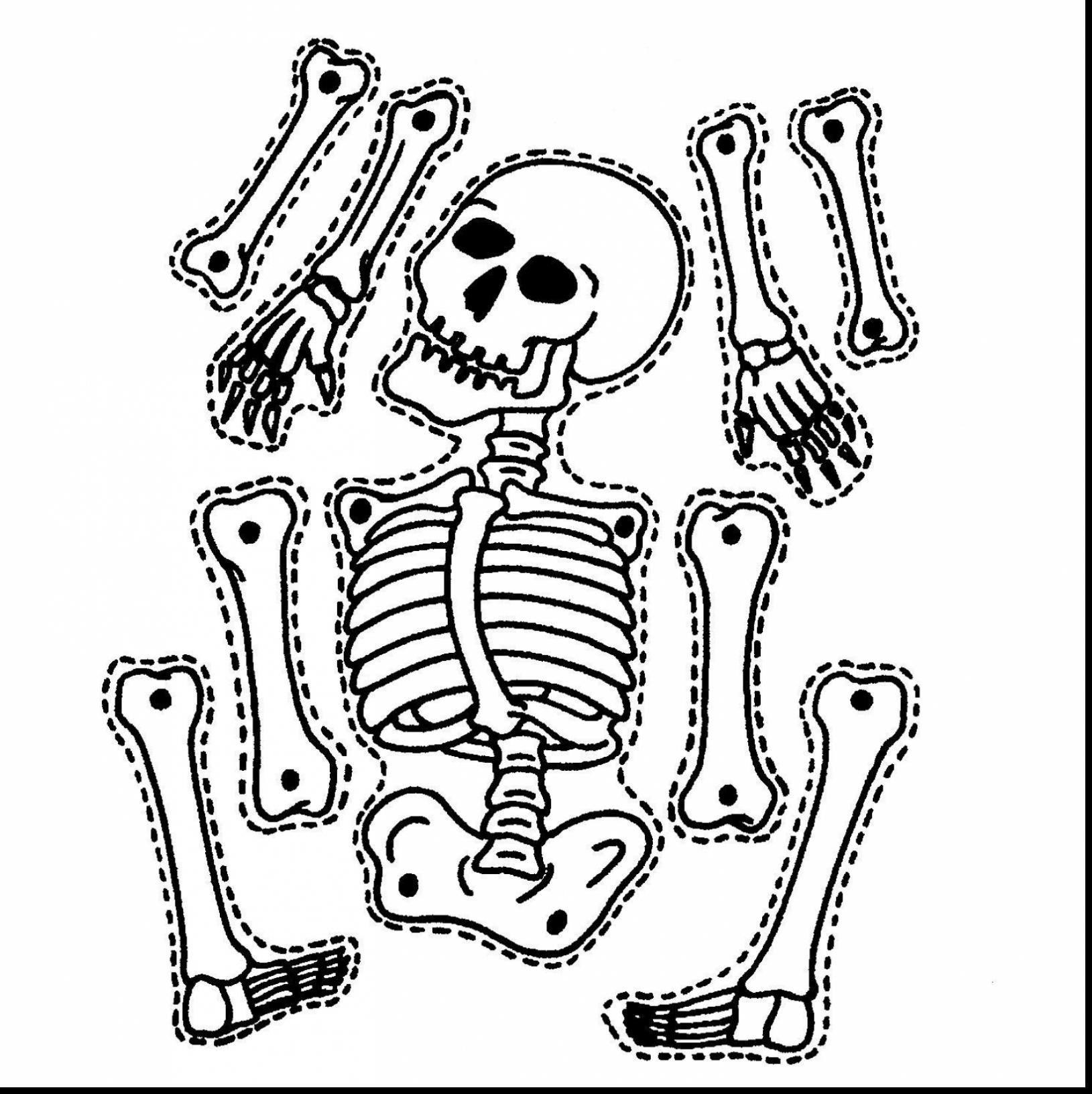 New Skeleton Coloring Pages To Print Trend Pic 1629x1632 New Skeleton Coloring Pages To Print Trend Pic