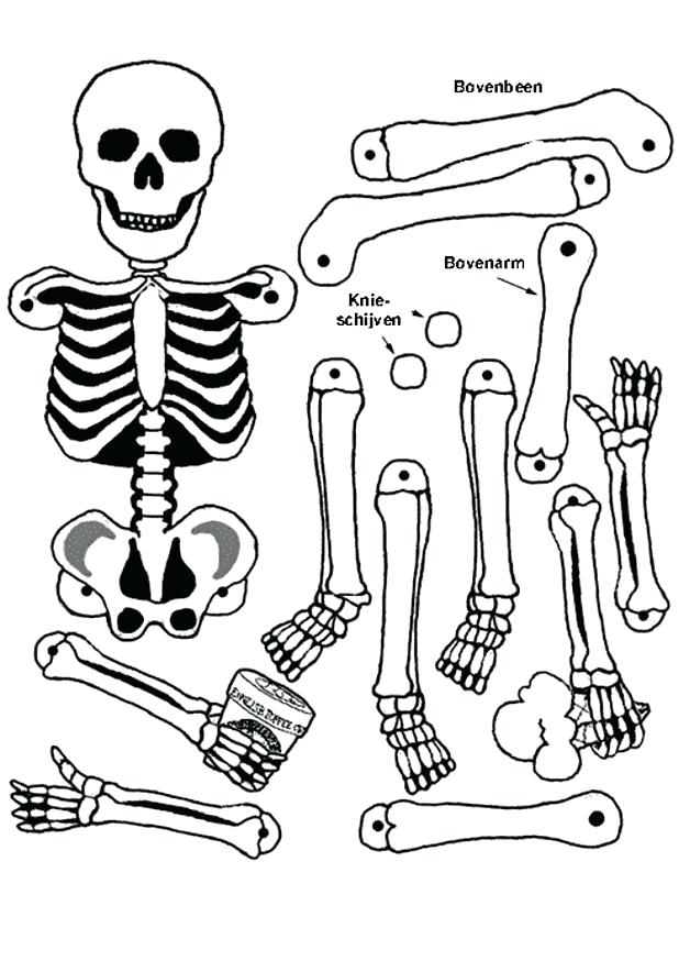Skeleton Coloring Page Body Skeleton Colouring Pages Skeleton 618x874 Skeleton Coloring Page Body Skeleton Colouring Pages Skeleton