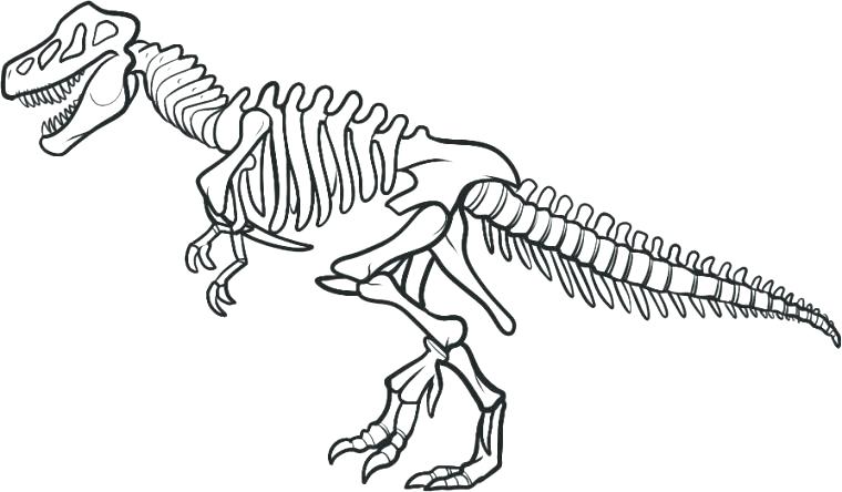 Skeleton Coloring Pages To Print Shippa.co 760x444 Skeleton Coloring Pages To Print Shippa.co