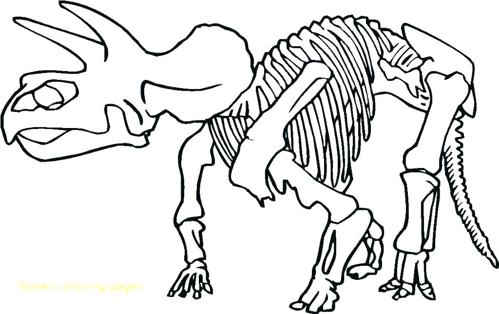 Skeleton Coloring Sheet 1024x645 Skeleton Coloring Sheet
