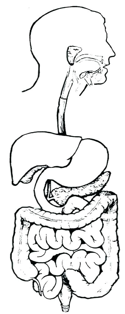 400x1000 Key Coloring Pages Key Coloring Pages Key Coloring Page Key