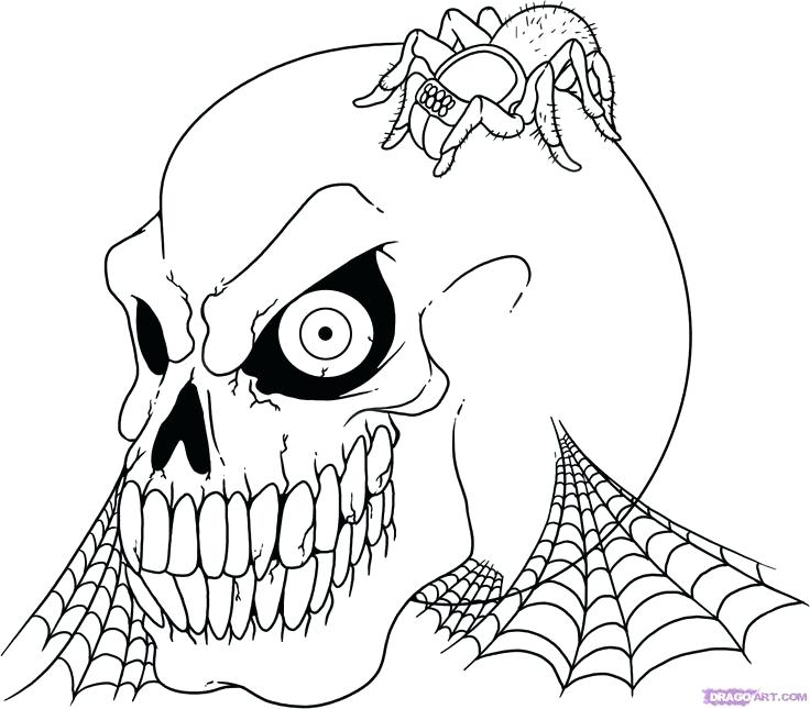 Halloween Skeleton Coloring Pages Image Detail For Coloring Pages 736x645 Halloween Skeleton Coloring Pages Image Detail For Coloring Pages