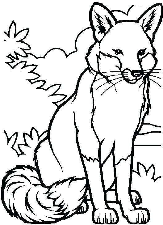 528x728 Poodle Coloring Page Poodle Coloring Page Fox Coloring Pages