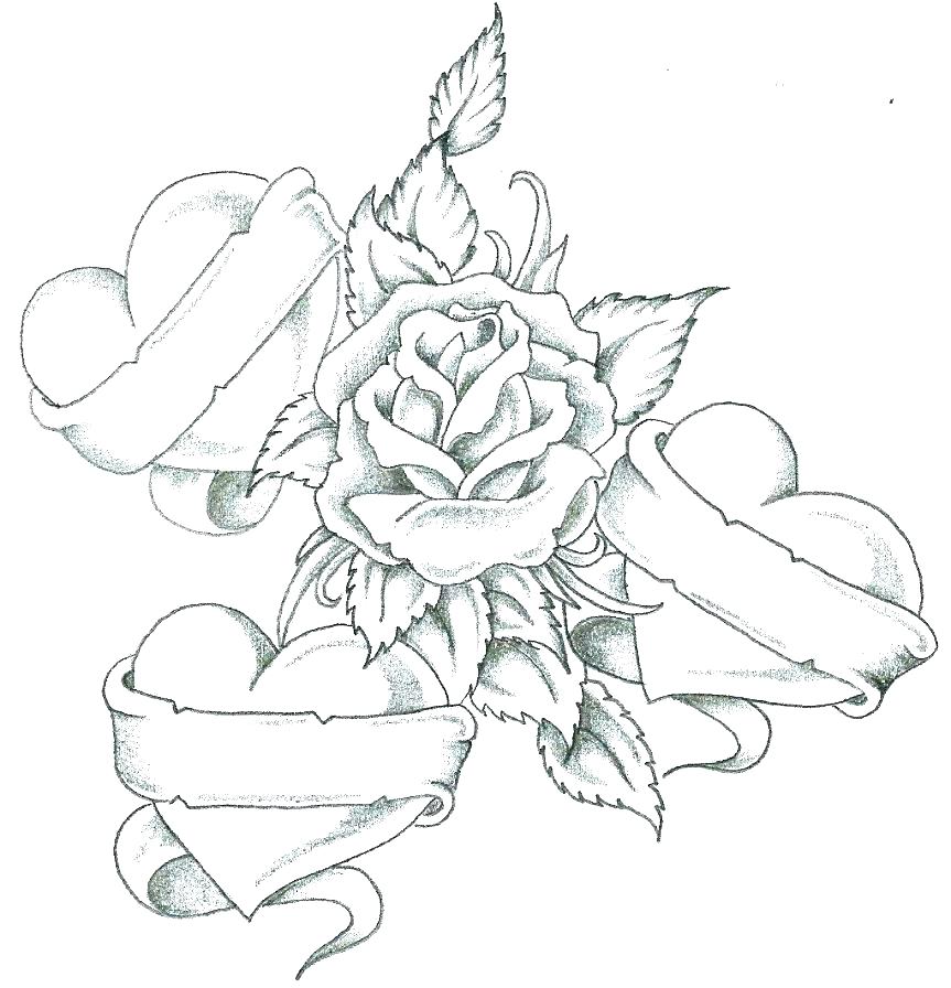 863x896 Modern Coloring Book Roses Elaboration