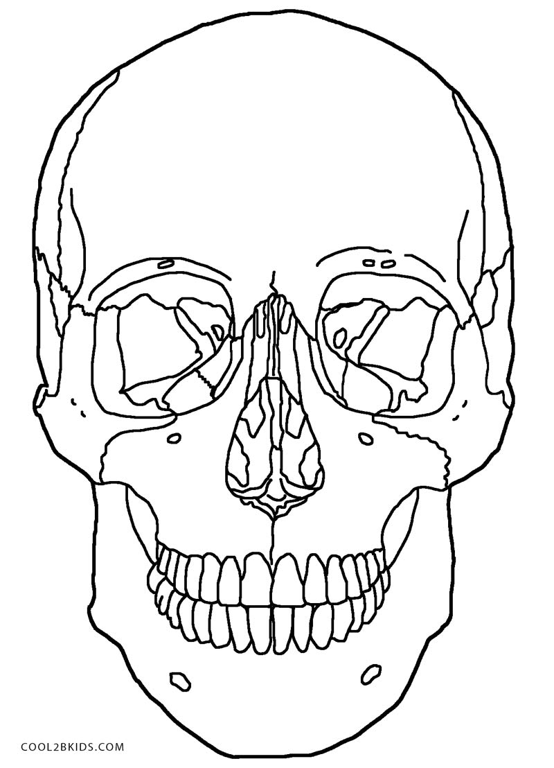800x1108 Marvelous Day Of The Dead Skull Coloring Pages Printable Image