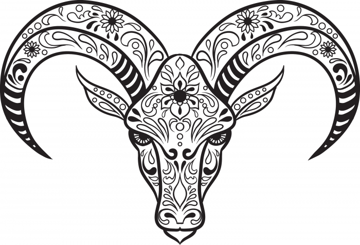 Sugar Skull Animal Coloring Pages 700x476 Sugar Skull Animal Coloring Pages