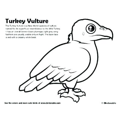 King Vulture Coloring Pages Kids Coloring Vulture Coloring Pages 400x400 King Vulture Coloring Pages Kids Coloring Vulture Coloring Pages