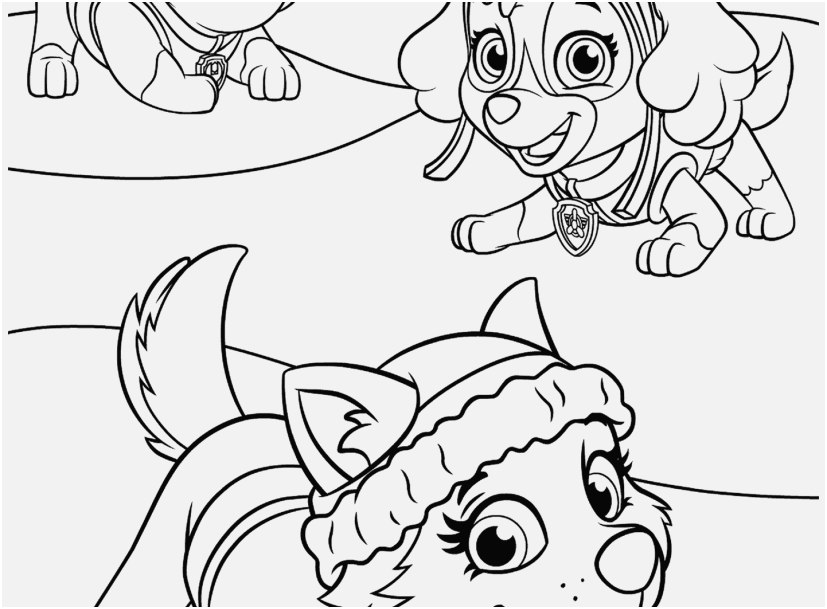 827x609 Printable Paw Patrol Coloring Pages Image Cartoons Everest Plays