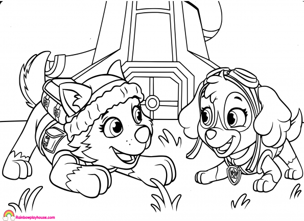 595x433 Everest Paw Patrol Coloring Pages 2236709