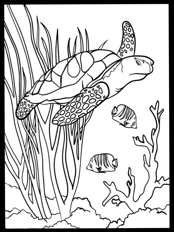 423 Best Stained Glass Coloring Images On Coloring 577x768 423 Best Stained Glass Coloring Images On Coloring