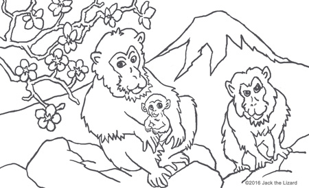 Animals In Legend Coloring Pages 450x274 Animals In Legend Coloring Pages