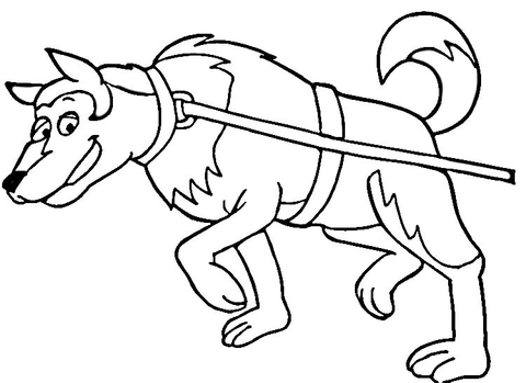 480x349 Sled Dog Coloring Pages