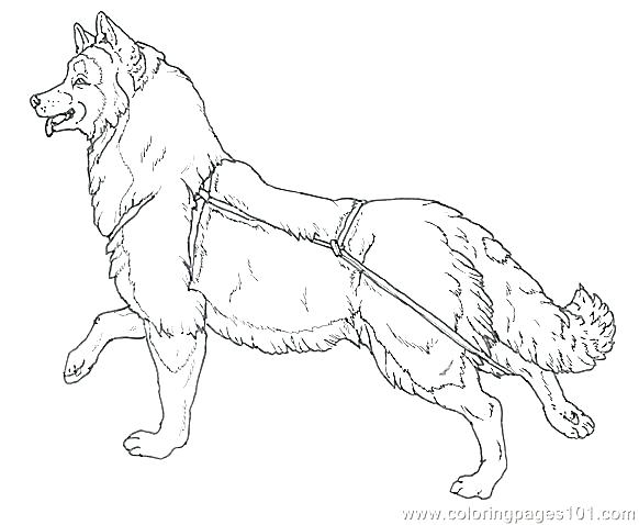 582x478 Dog Sled Coloring Pages Dog Coloring Pages Printable Dog Color