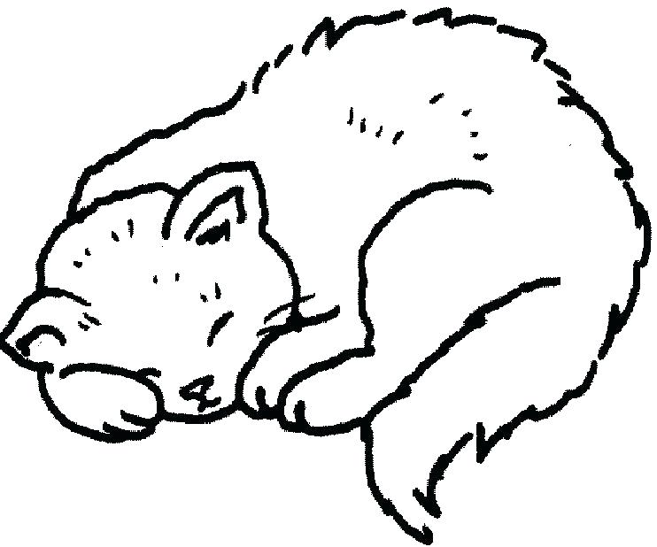 742x618 Sleeping Coloring Page Sleeping Coloring Page Cats Sleeping
