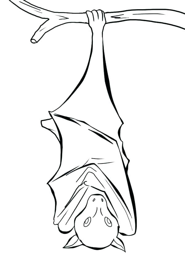 600x900 Coloring Pages Bats Bat Coloring Pages Bat Coloring Pages Bat
