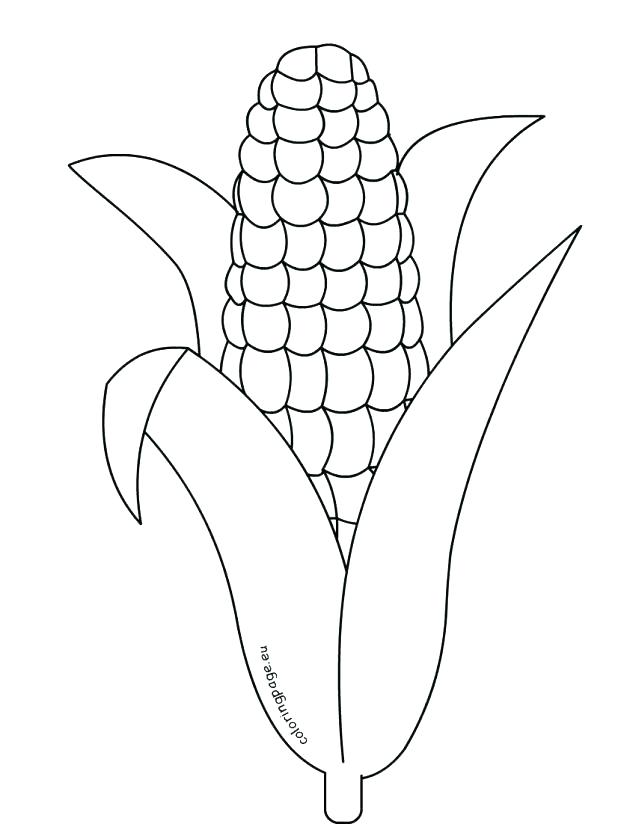 Corn Stalk Coloring Page Corn Stalk Coloring Page Click The Slices 618x839 Corn Stalk Coloring Page Corn Stalk Coloring Page Click The Slices