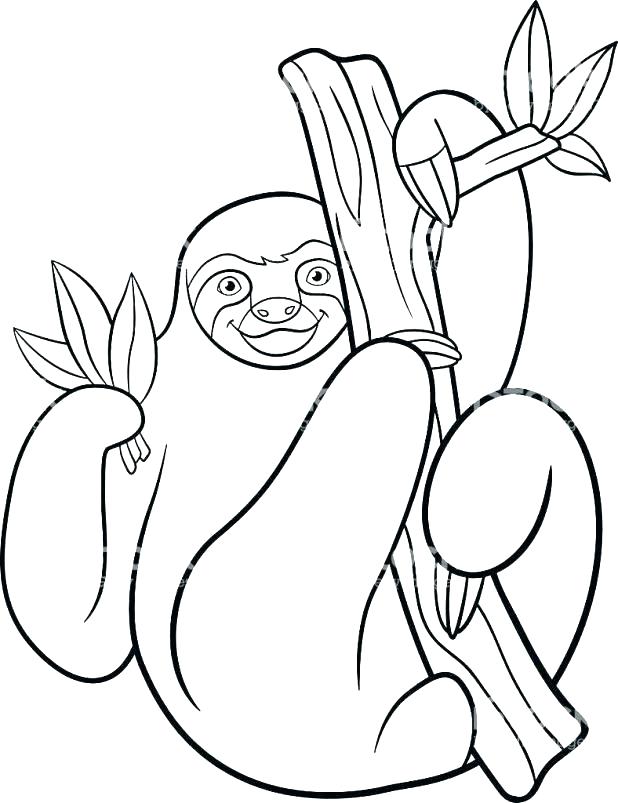 Sloth Coloring Pages Figure 1 The Three Toed Sloth Sketch By Sloth 618x803 Sloth Coloring Pages Figure 1 The Three Toed Sloth Sketch By Sloth