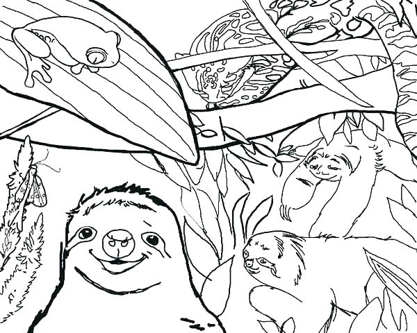 Sloth Coloring Pages Jungle Coloring Pages New Sloth Coloring Page 600x480 Sloth Coloring Pages Jungle Coloring Pages New Sloth Coloring Page