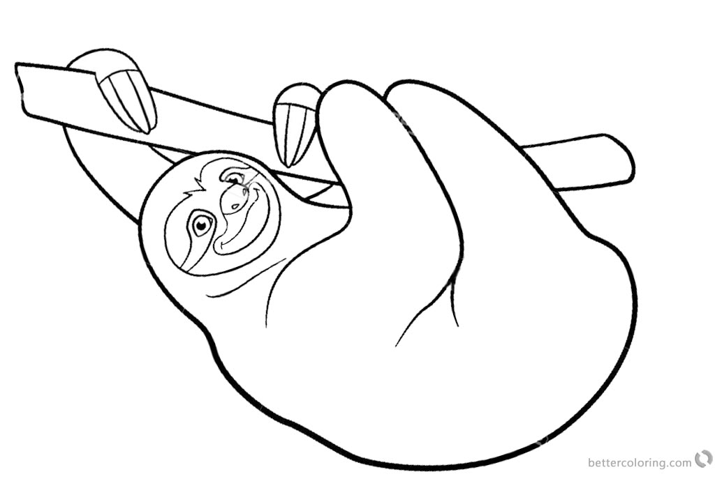 Sloth Coloring Pages Three Toed Sloth 1024x700 Sloth Coloring Pages Three Toed Sloth