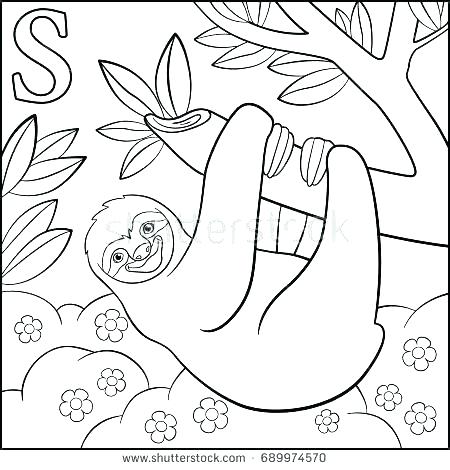 Sloth Coloring Pages 450x470 Sloth Coloring Pages