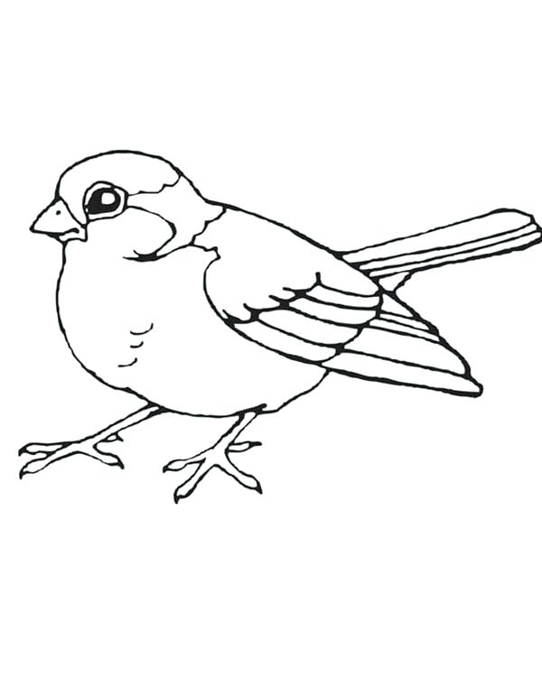 600x750 Coloring Pages Collection Page 2