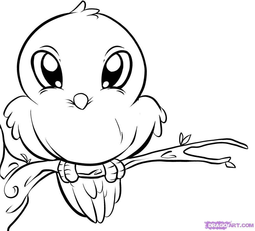 1000x904 Competitive Bird Pictures For Kids To Color Birds Coloring Pages