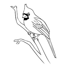 230x230 Top 20 Free Printable Bird Coloring Pages Online