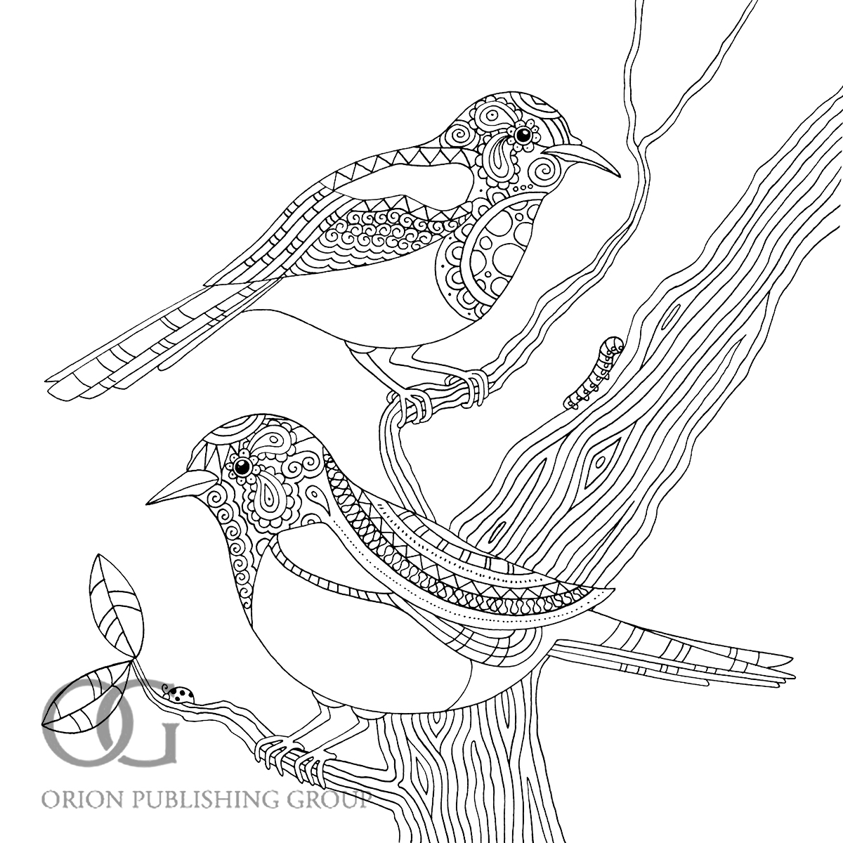 1200x1200 Wanted Pictures Of Birds To Colour In Bird Col