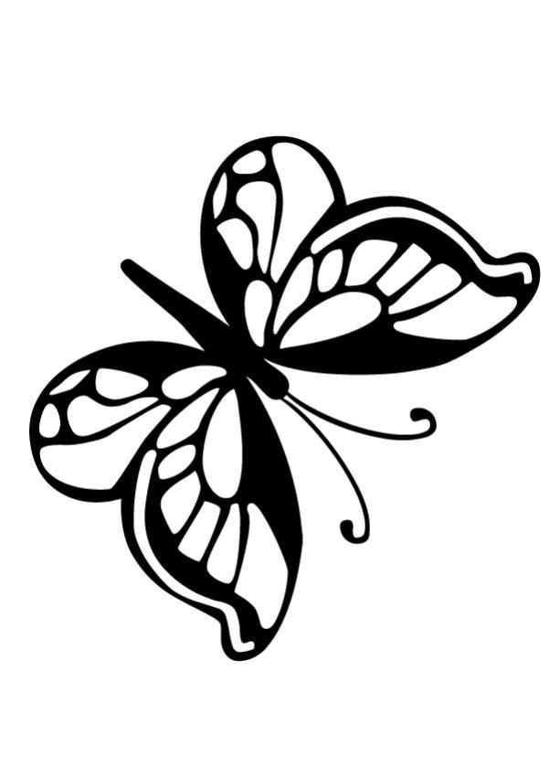 Small Butterfly Coloring Pages