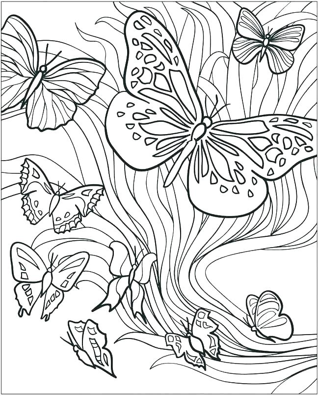 650x806 Small Butterfly Coloring Pages