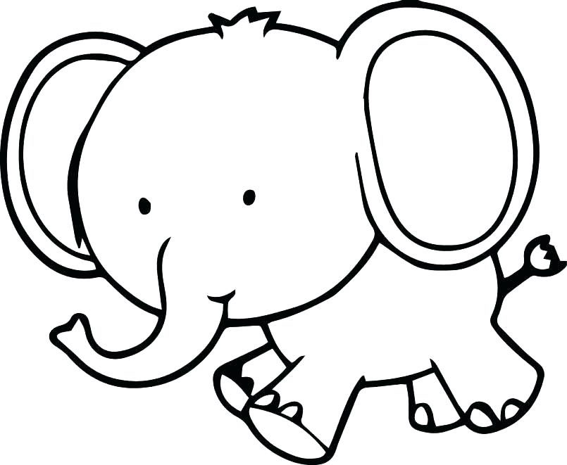 805x661 Coloring Pages Elephant Elephant Coloring Page Elephant Color Page