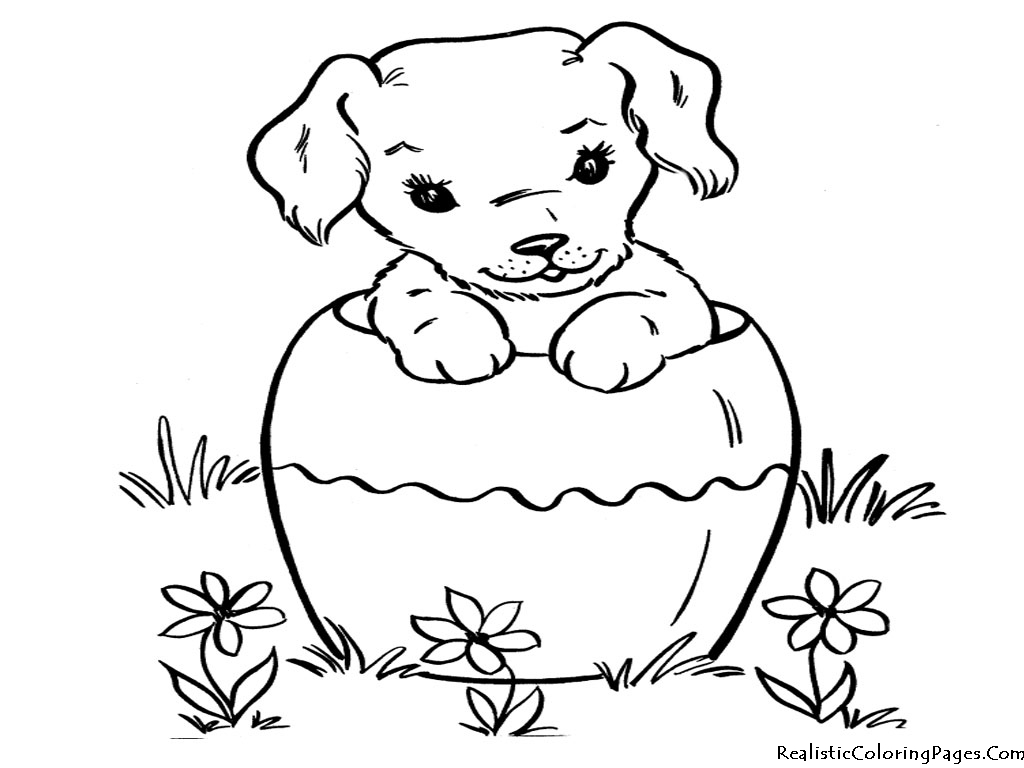 1024x768 Incredible Design Dogs Cats Coloring Pages Friendly Dog