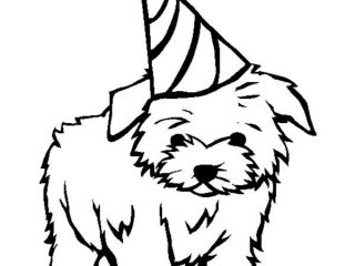 320x240 Small Dog Coloring Pages Small Dog Coloring Pages Ebcs