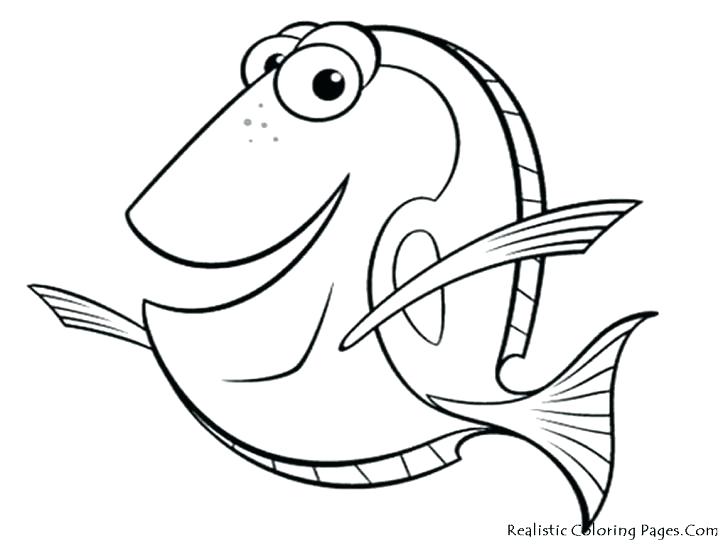 Printable Fish Coloring Pages Small Fish Coloring Pages Printable 728x546 Printable Fish Coloring Pages Small Fish Coloring Pages Printable
