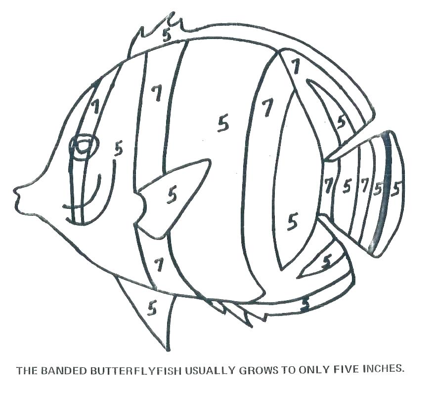 Small Fish Coloring Pages Small Fish Pictures To Colour Bass 878x796 Small Fish Coloring Pages Small Fish Pictures To Colour Bass
