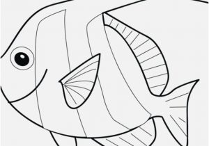 Fish Coloring Pages Portraits Small Fish Coloring Pages Coloring 300x210 Fish Coloring Pages Portraits Small Fish Coloring Pages Coloring