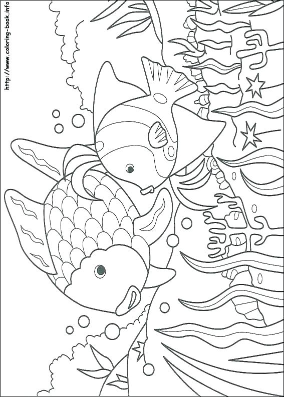Fish Coloring Pages Printable Small Fish Coloring Pages For Kids 567x794 Fish Coloring Pages Printable Small Fish Coloring Pages For Kids