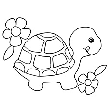 230x230 Top 20 Free Printable Turtle Coloring Pages Online