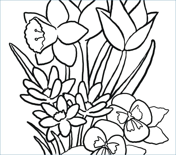 Small Flower Coloring Pages at GetColorings.com | Free printable ...