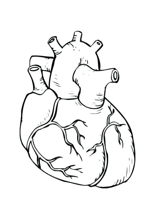 531x750 Love Heart Coloring Pages Heart Coloring Book Together With Small