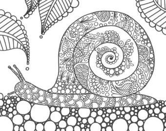 Snail Coloring Page Etsy 340x270 Snail Coloring Page Etsy