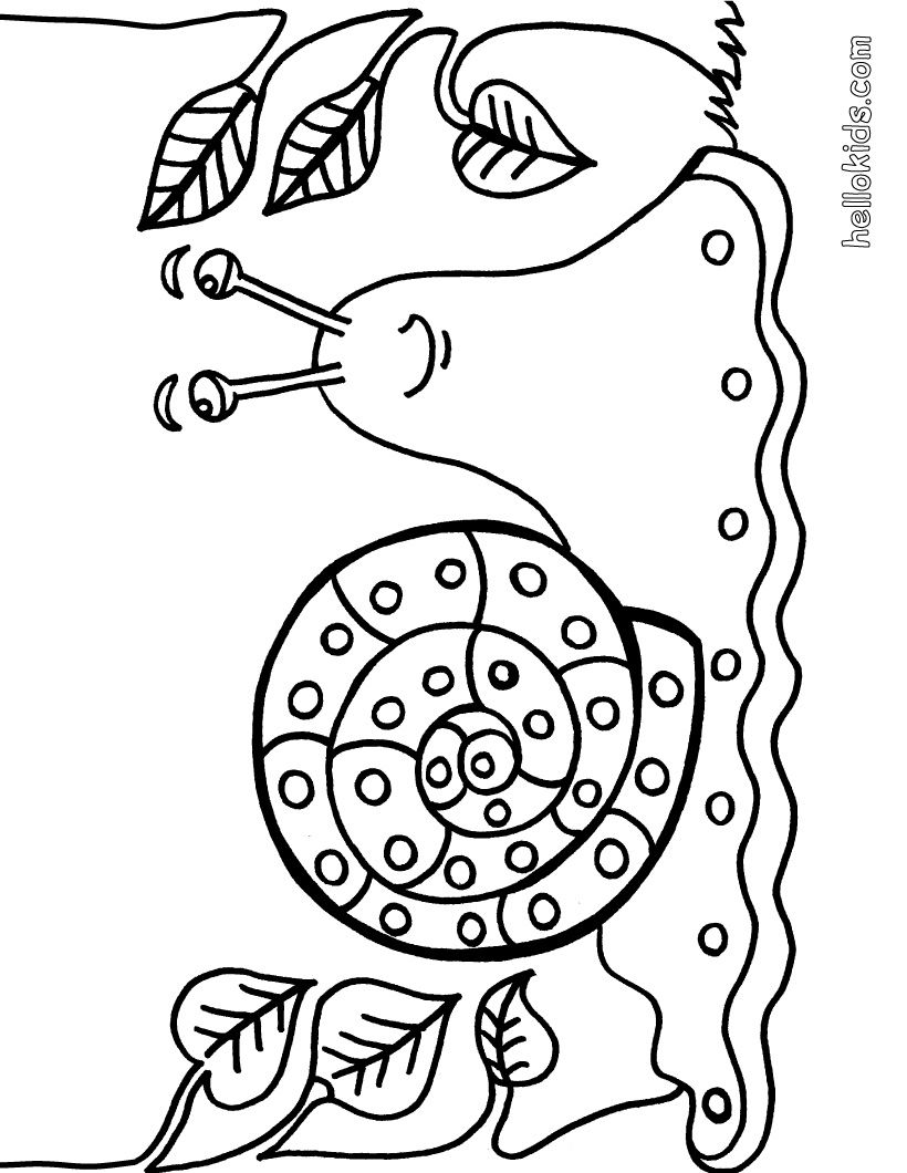Snail Coloring Page Zoology Snail, Color Sheets 820x1060 Snail Coloring Page Zoology Snail, Color Sheets
