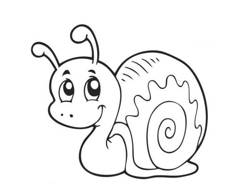 Snail Coloring Page Snail Coloring Pages Funnycrafts Ideas 800x600 Snail Coloring Page Snail Coloring Pages Funnycrafts Ideas