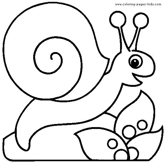 Inspirational Snail Coloring Pages Coloring Ws 535x529 Inspirational Snail Coloring Pages Coloring Ws