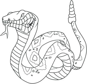 360x350 Coloring Pages Snake Snake Coloring Page Coloring Kids Snake